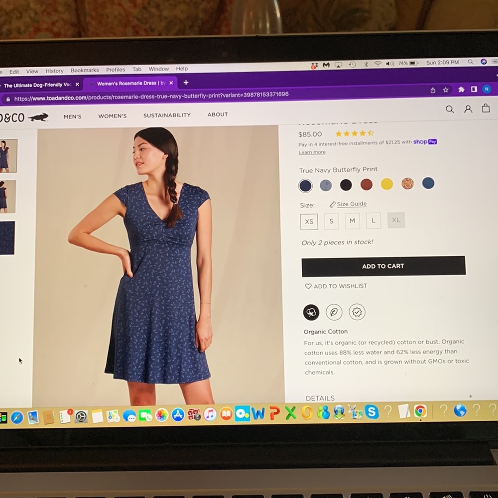 Toad & Company Rosemarie Dress